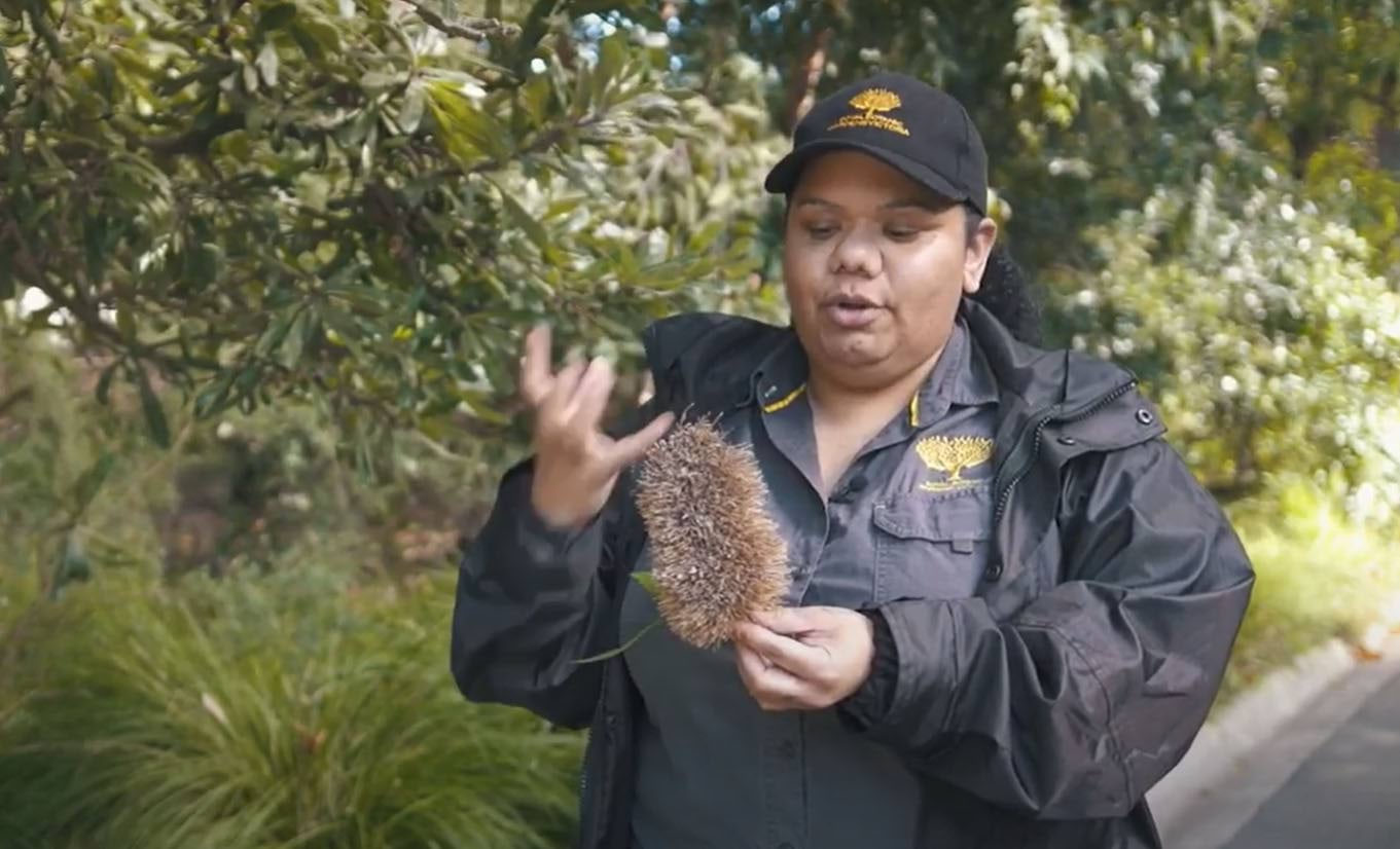 Royal botanical gardens Kalkani holding a possum Australian forest walk - Nature festival