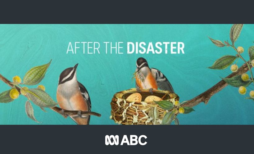 After The Disaster
