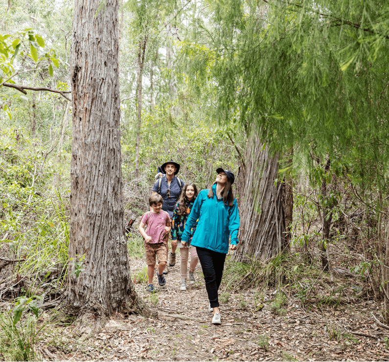 Two adults and two children taking a walk in the bush