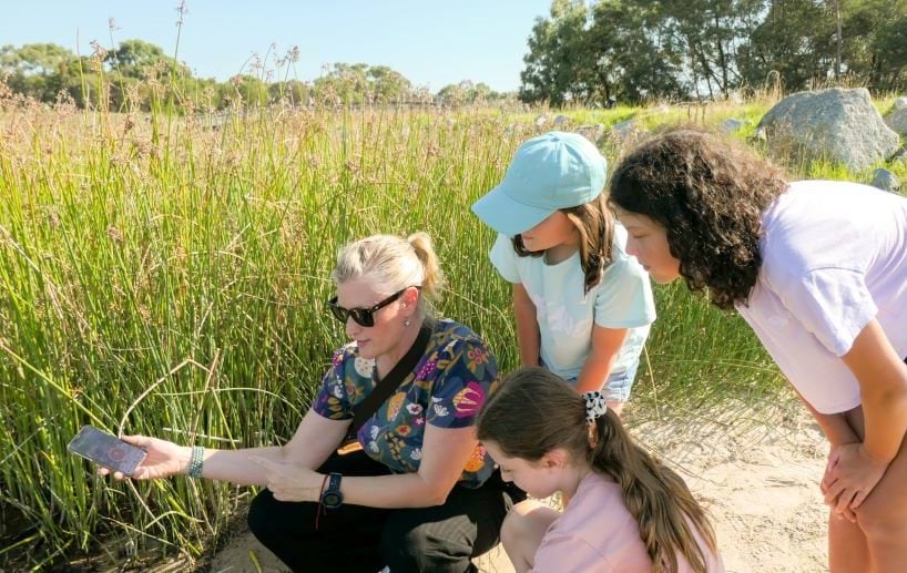 One adult and three children recording frog sounds on a phone next to a waterway