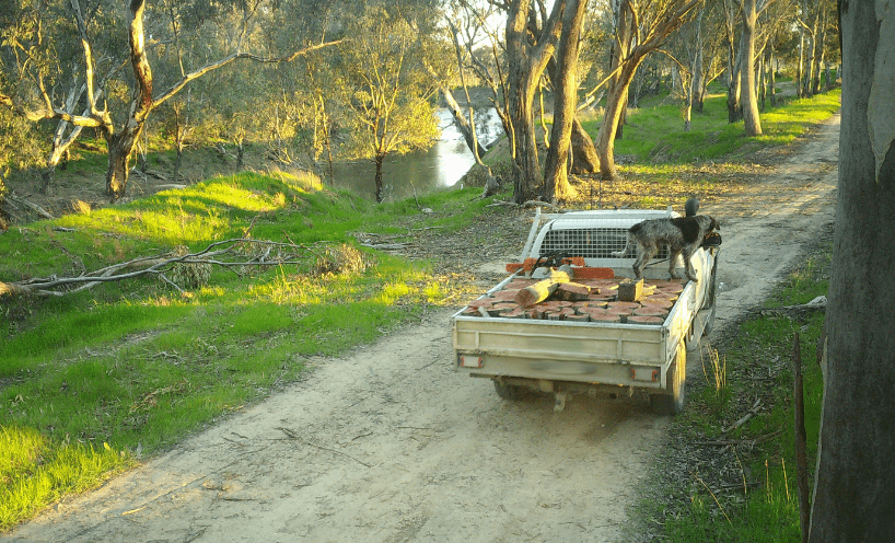 Man's ute filled with illegal firewood 