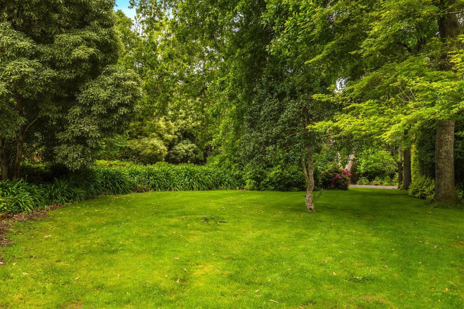 Image shows the gardens at the VEMI conference centre