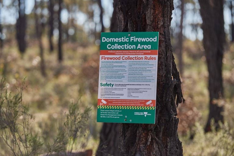 Collecting firewood vic.gov.au