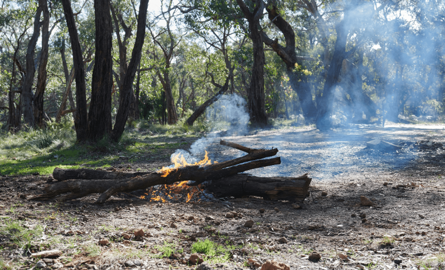 An over-sized campfire with approximately two-metre-long tree branches burns unattended in a forest