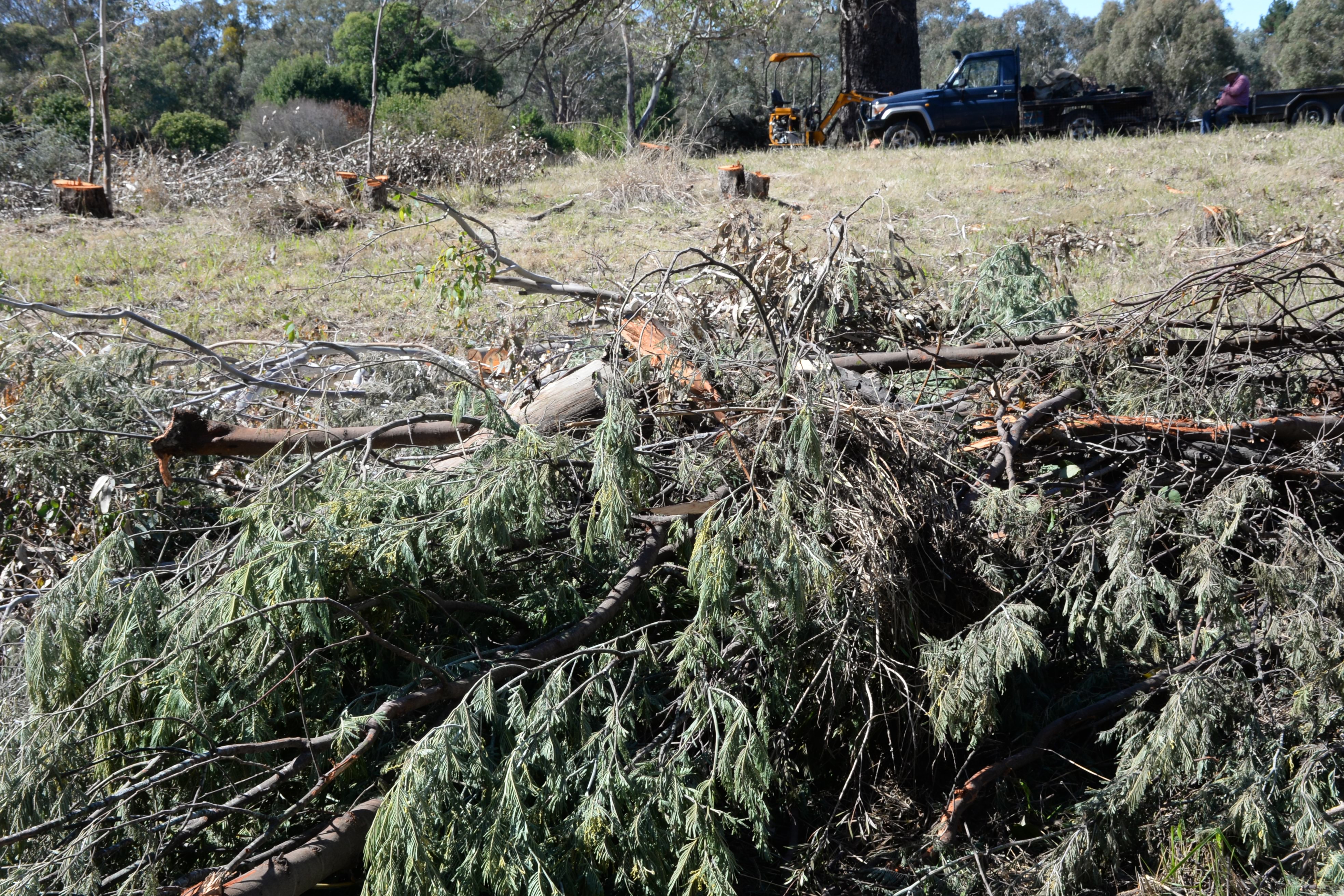 wodonga firewood court case