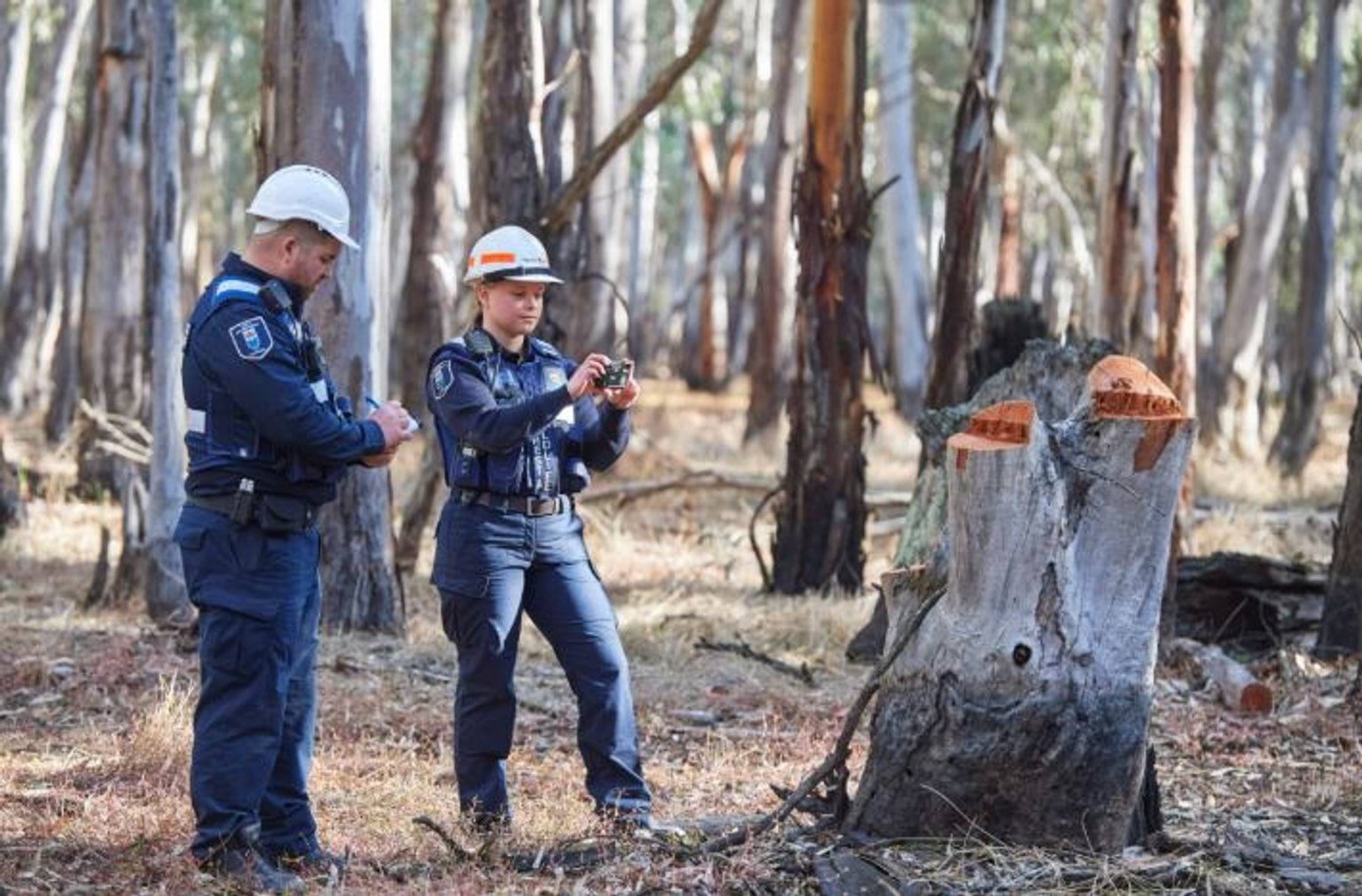 Taskforce Ironbark
