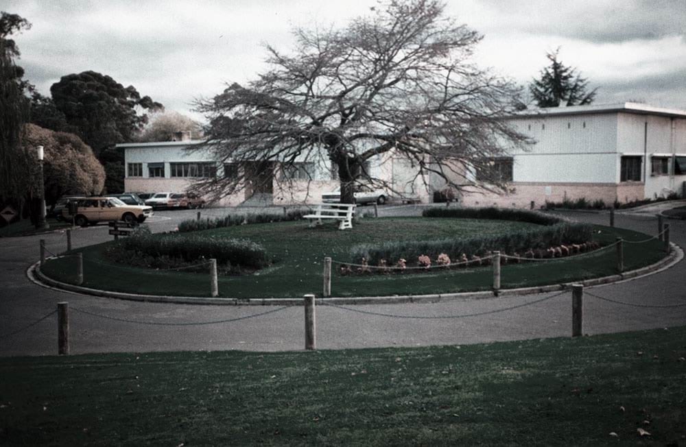 The front entrance to the Nunawading Youth Residential Centre. It's winter, so the big tree in the middle of the roundabout garden and the grass is green from the recent rain. The garden is well maintained. There are staff cars parked in front of the buildings. The buildings are blonde brick and white, with flat roofs.