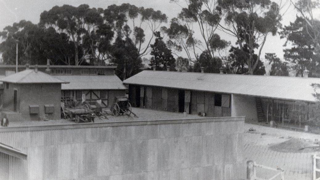 Janefield Farm - Farm buildings and equipment with trees in the background