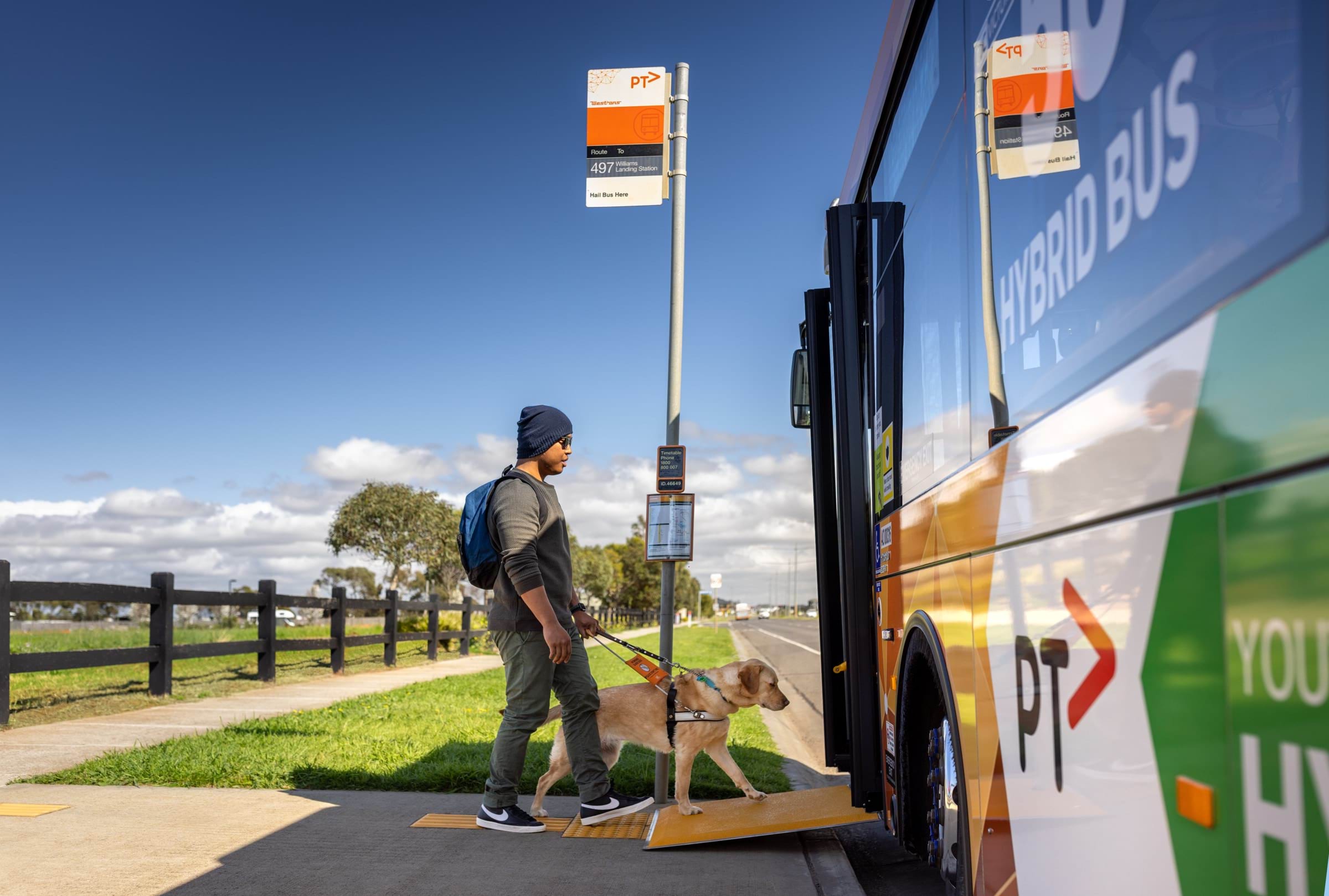 Image of a person with a guide dog boarding a bus via a ramp.