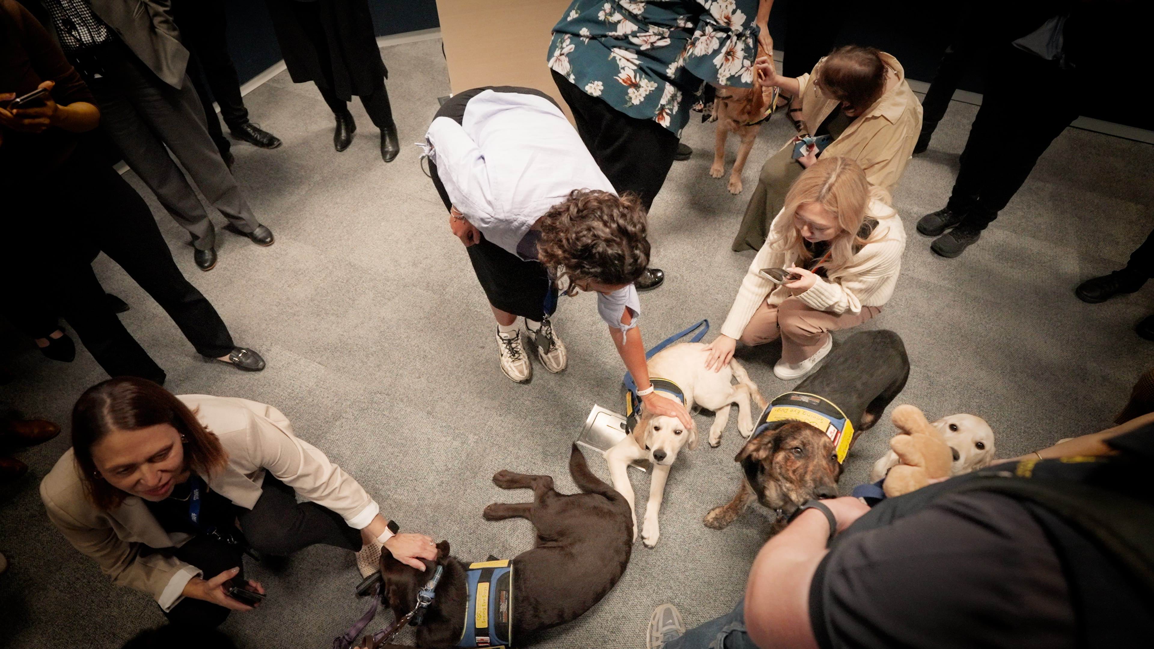 Staff patting Seeing Eye Dogs