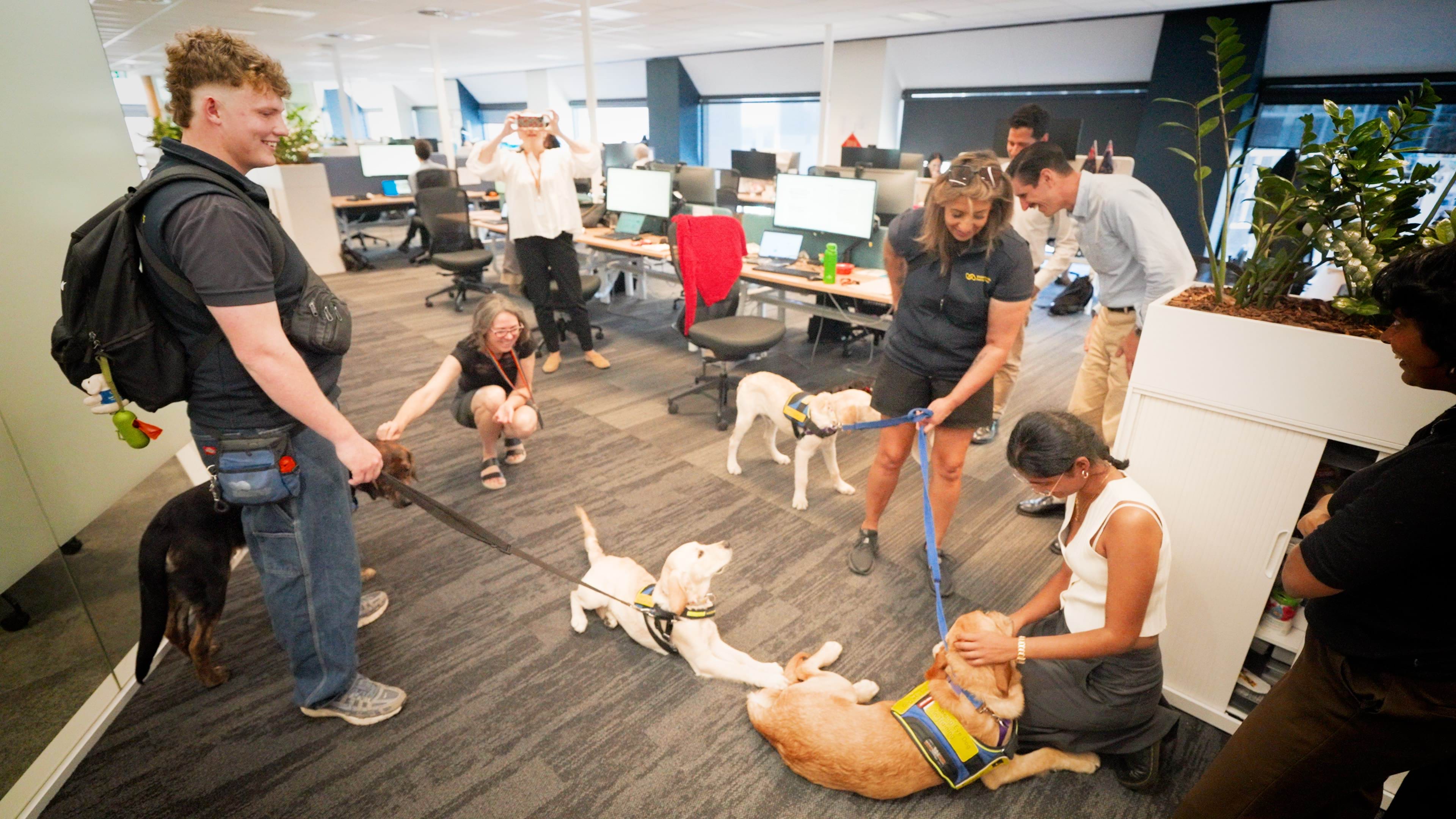 DGS staff patting the Pups in Training.