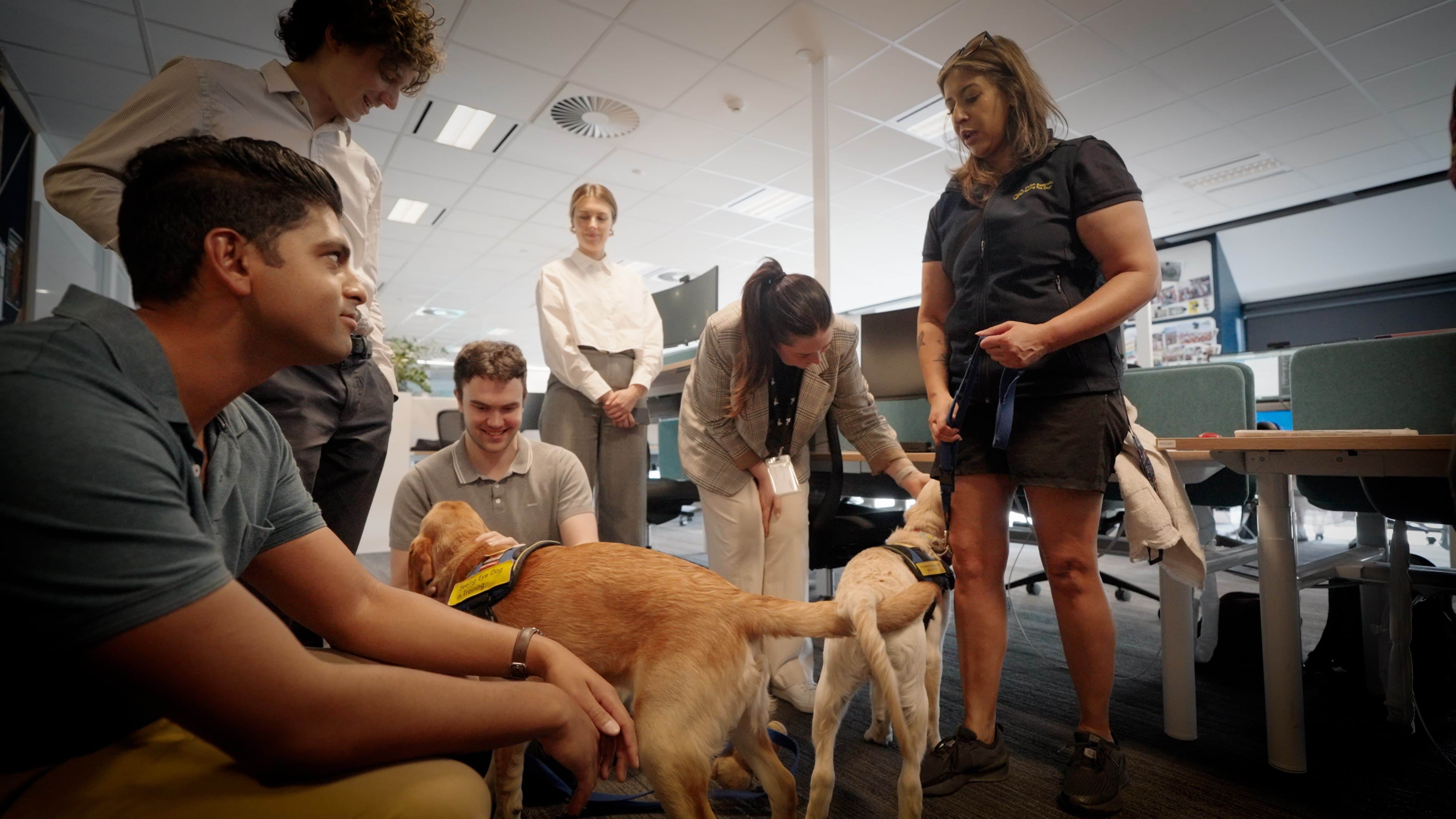 DGS staff patting Seeing Eye Dog puppies.