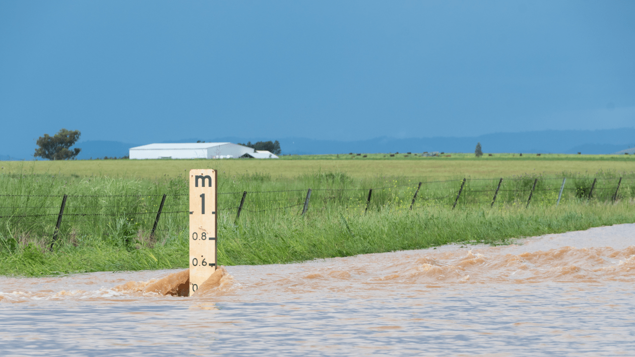 Flooded area in regional farmland
