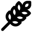 A wheat kernel