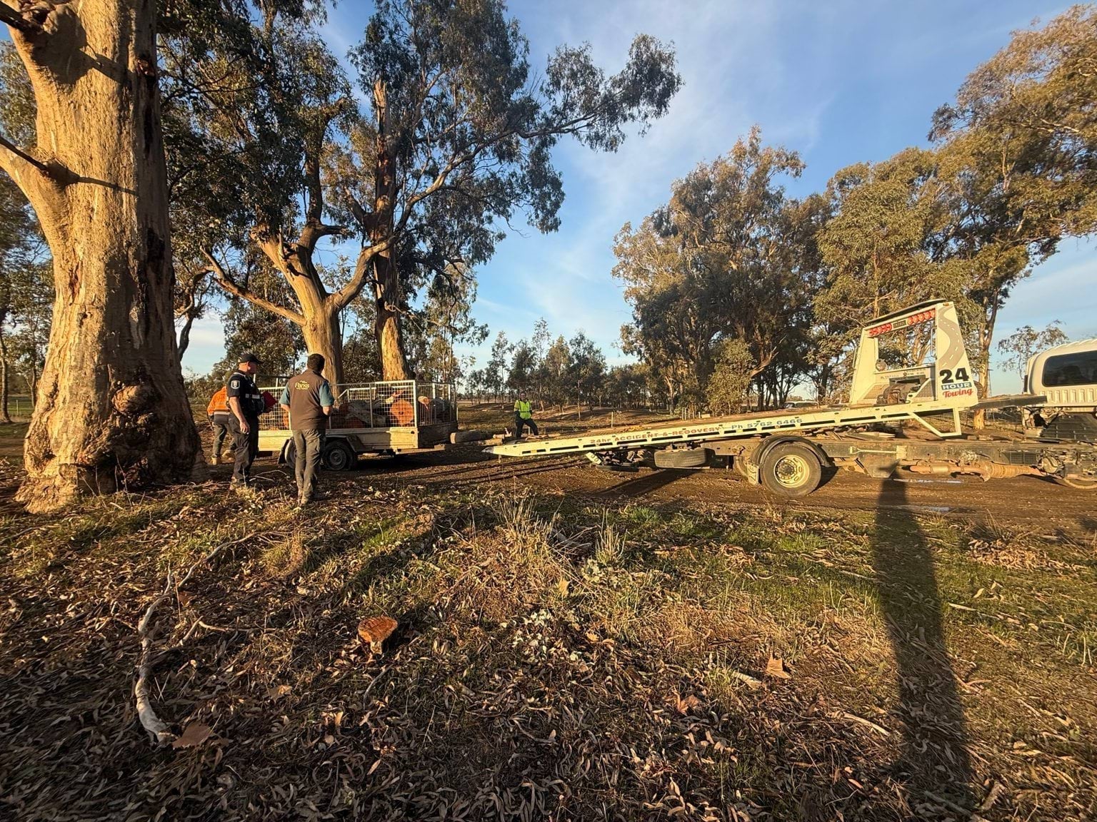A trailer containing firewood being loaded by three people onto a tow truck