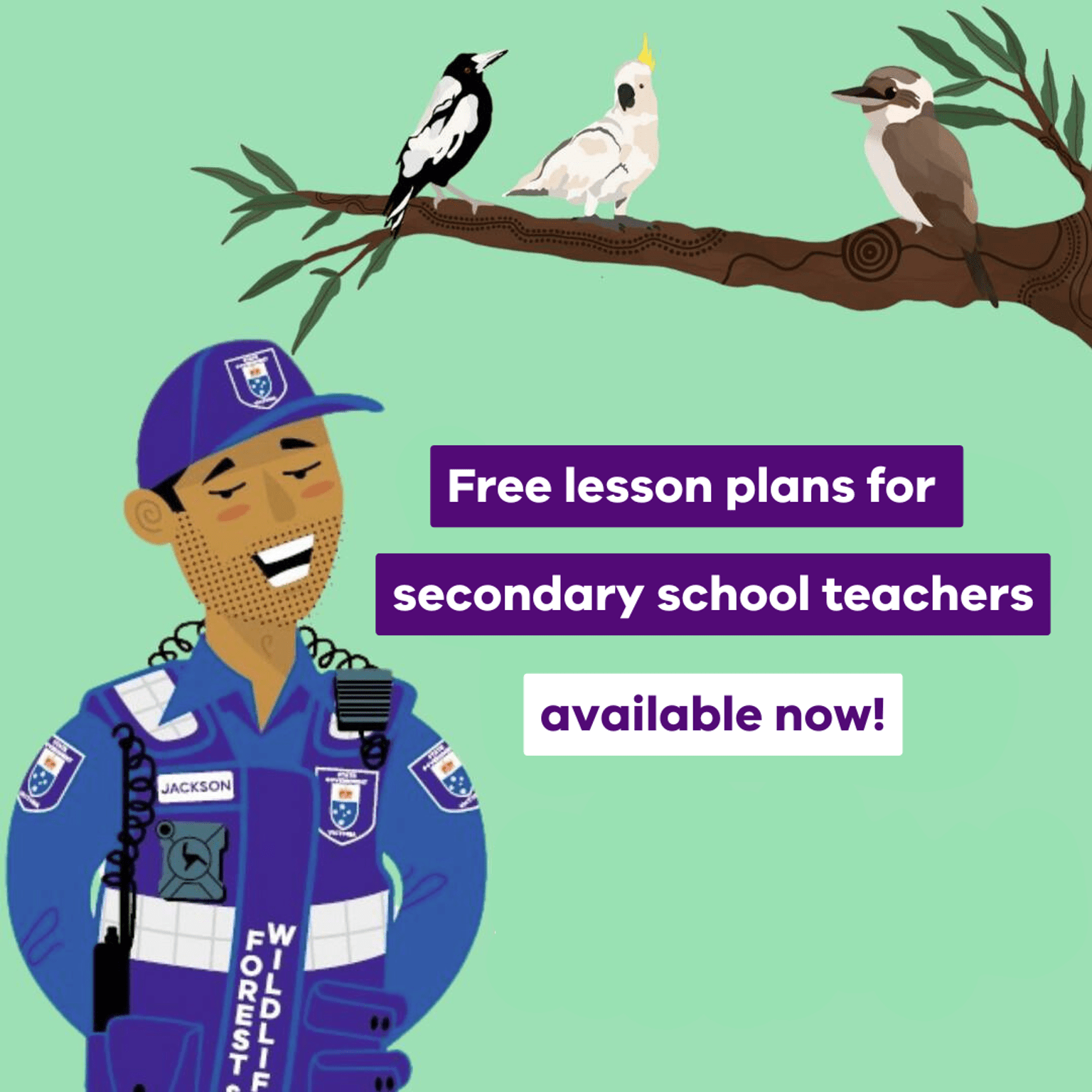 Cartoon image of an Authorised Officer below a branch with native birds saying Free Lesson PLans for Secondary School Teachers available now
