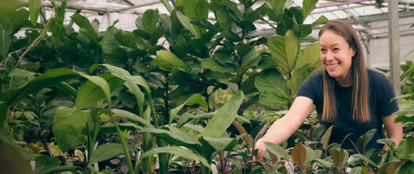 A horticulture graduate working in a nursery surrounded by large plants 