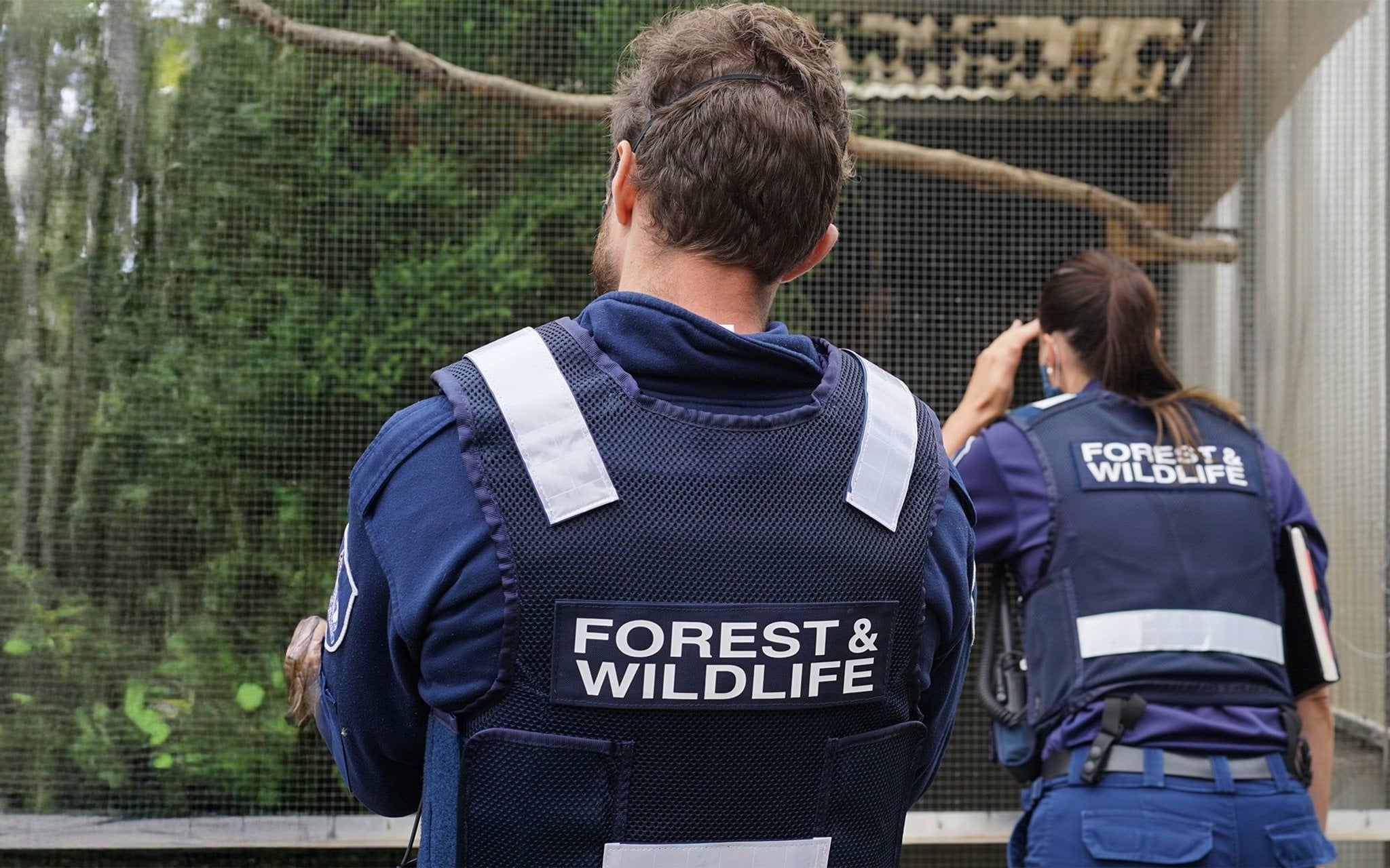 Authorised Officers inspect enclosure