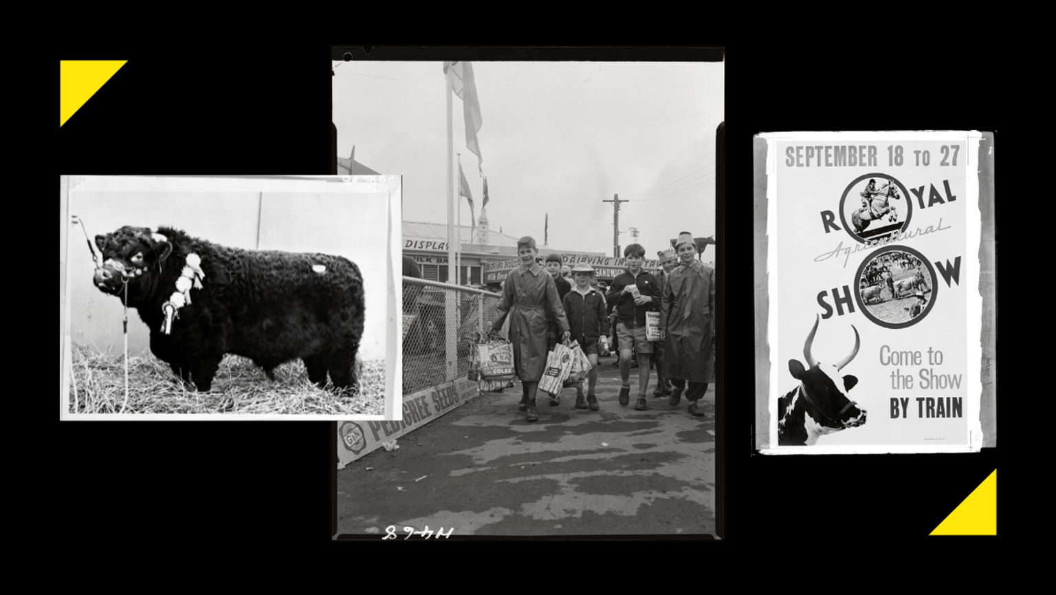Image is a collage of historical photographs from Royal Melbourne Show
