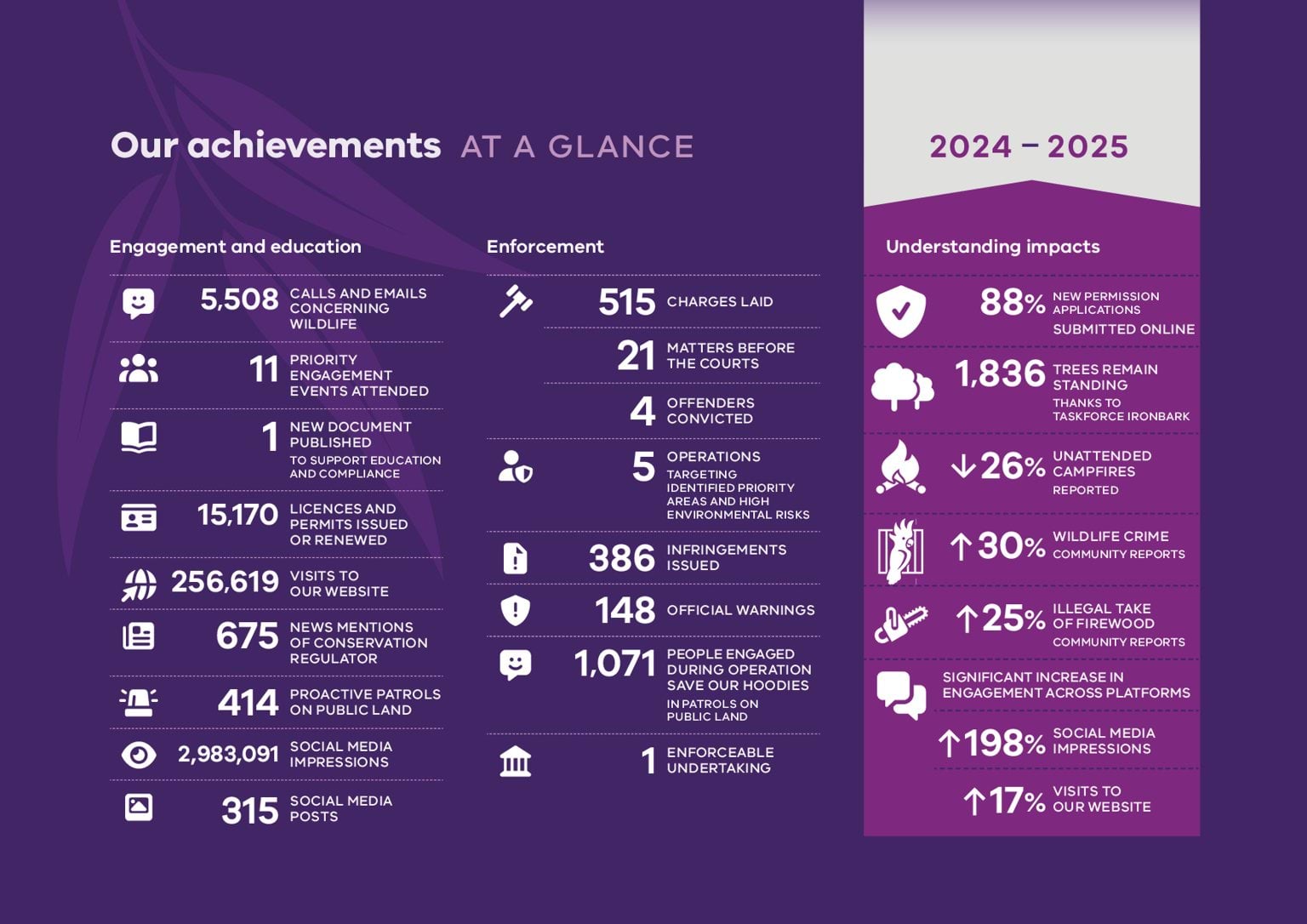 Year in review achievements at a glance 2024-2025 figure