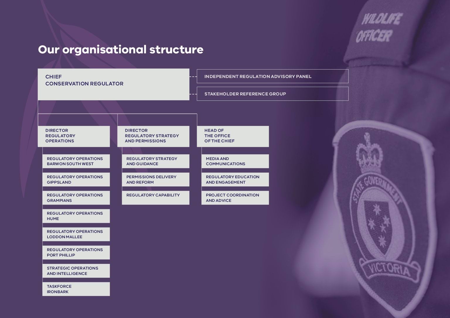 Our organisational structure