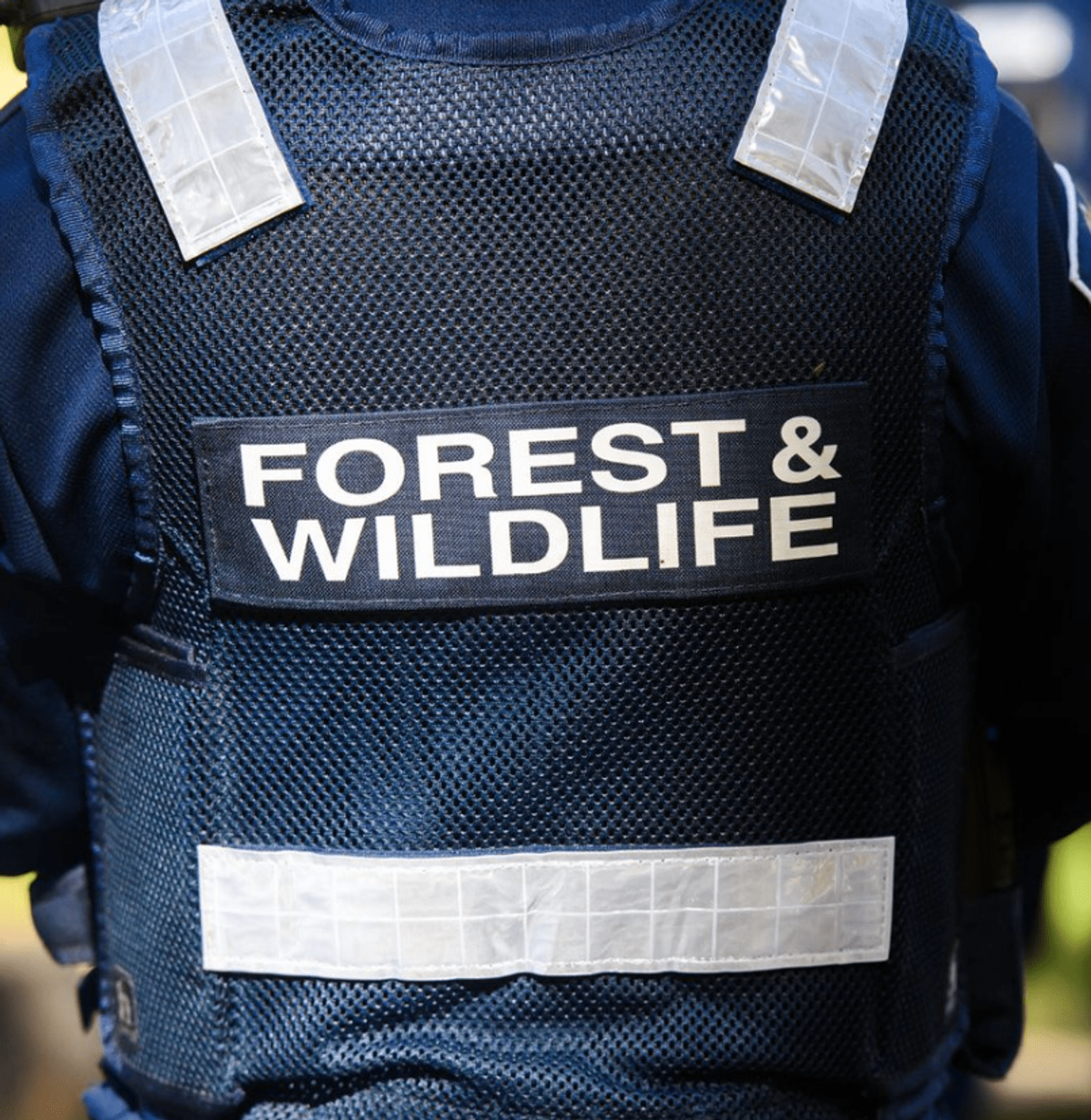 Rear view of a vest warn by Forest and wildlife officers