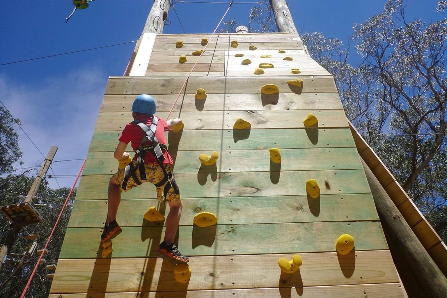 Student reaching for yellow holds as they climb up the tower