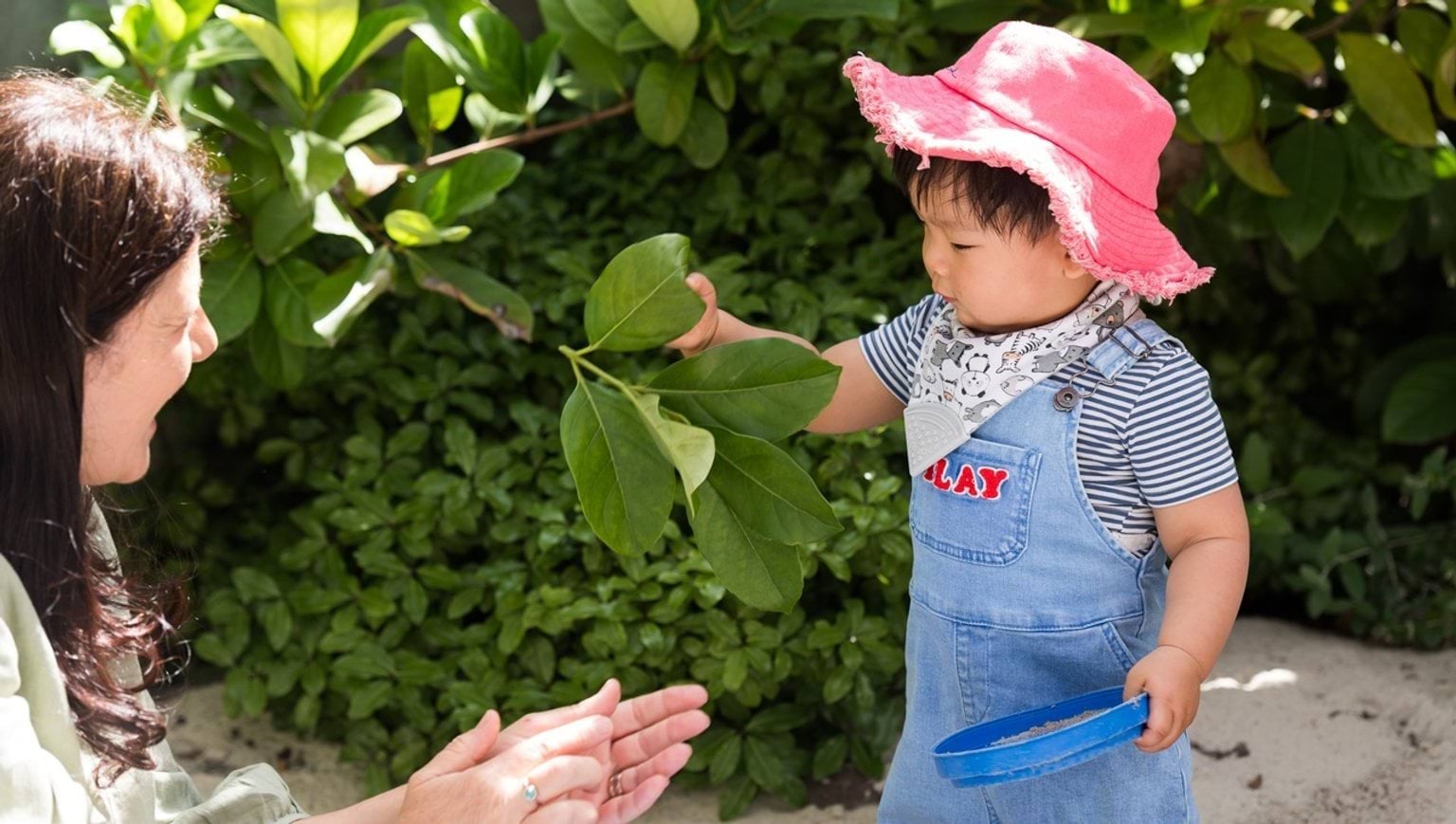 A child in a pink hat and denim overalls touching a leaf and looking at it with curiosity, while a teacher watches on nearby.