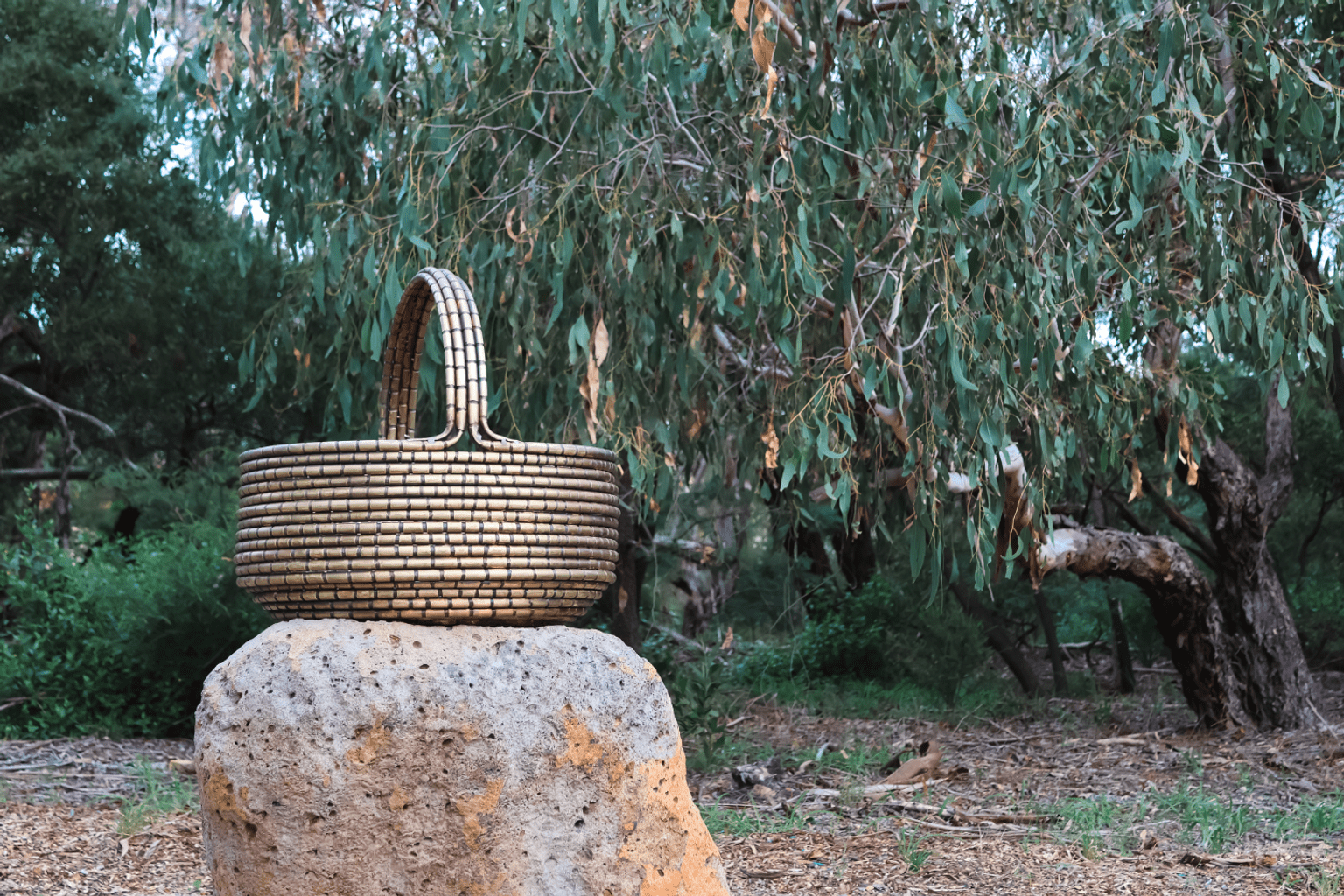 Binak Ngarrgu, Basket of Knowledge