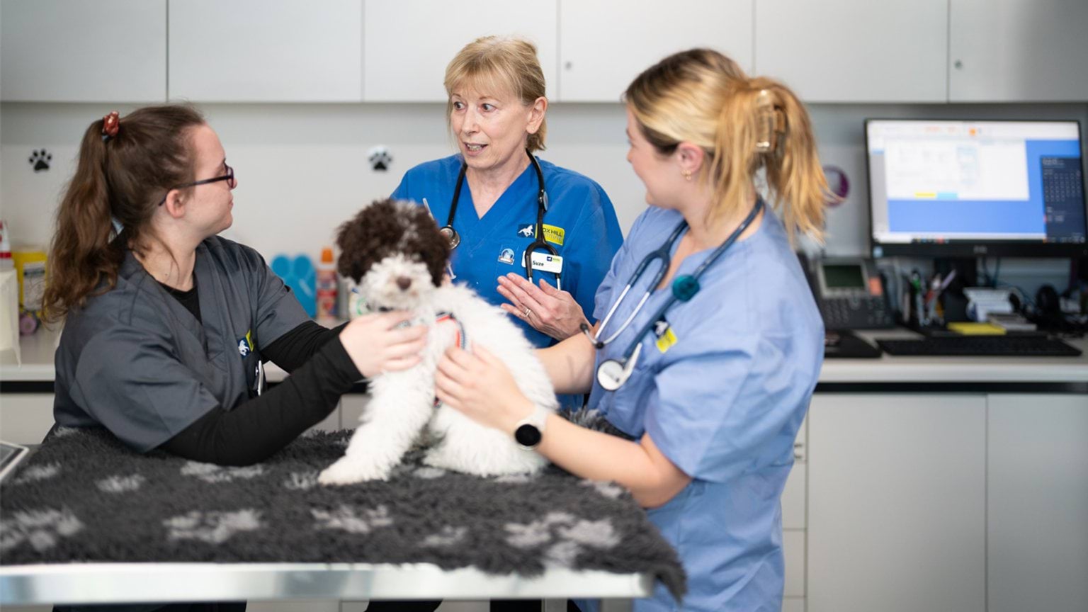 Students listening to the teacher and holding a dog