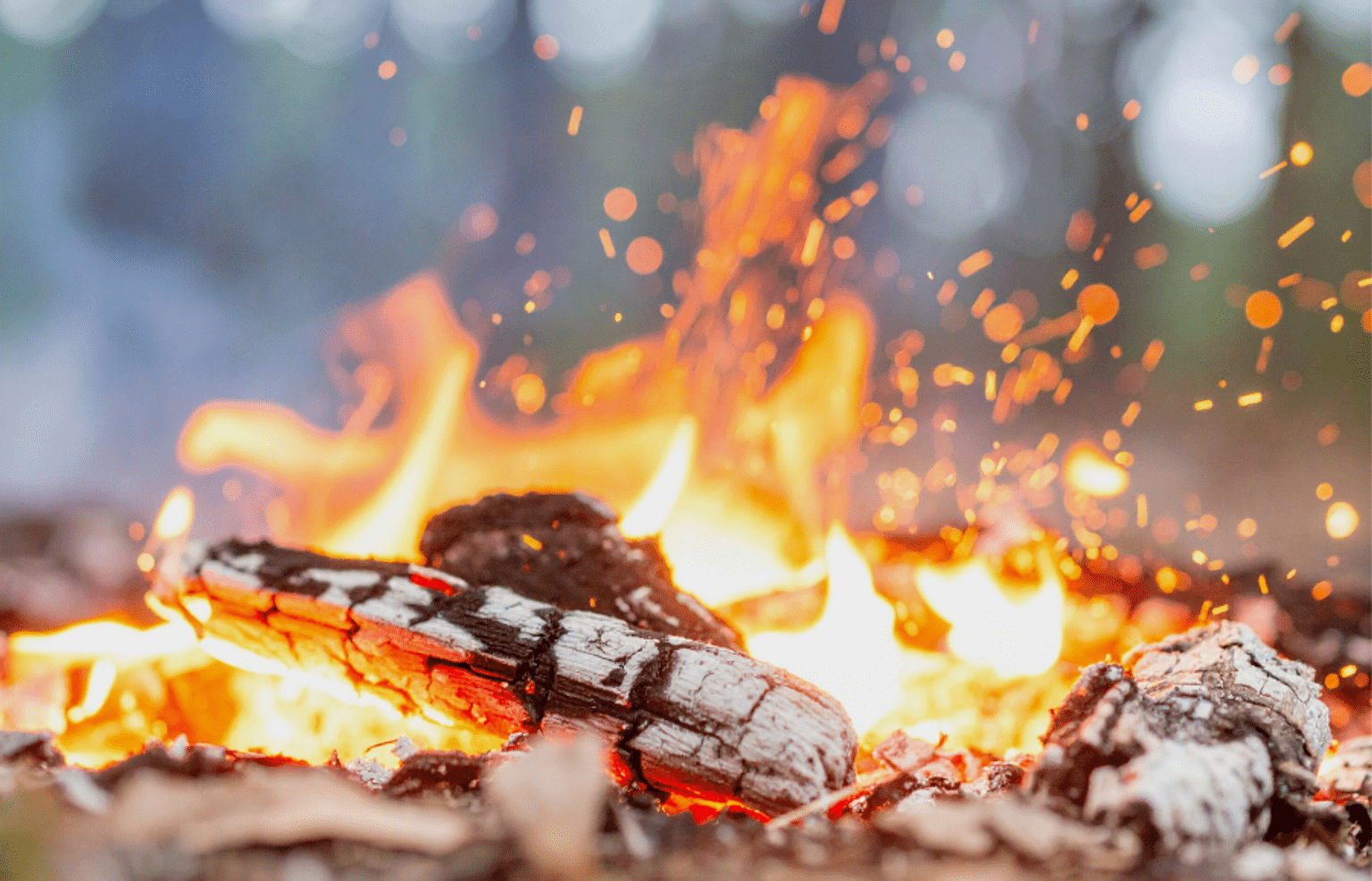 Burning campfire closeup with hot coals and embers