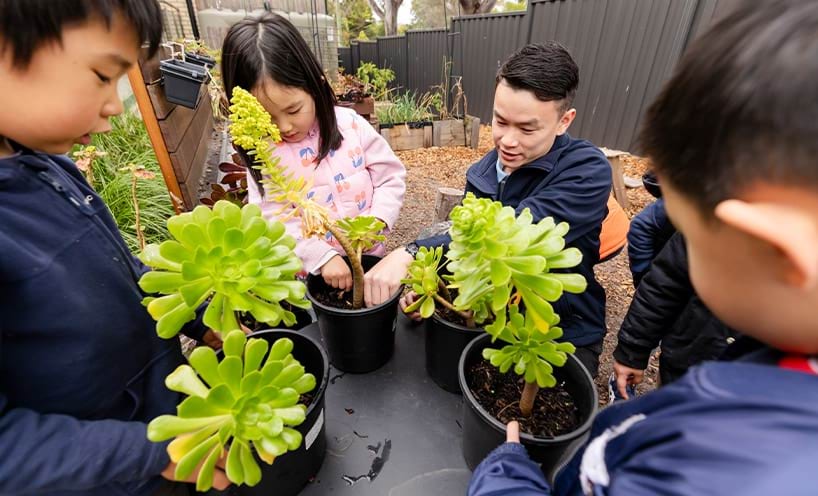 Children planting succulents with educators