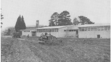 Black and white photo of what appears to be almost completed Burwood High School buildings using the Light Timber Construction design.