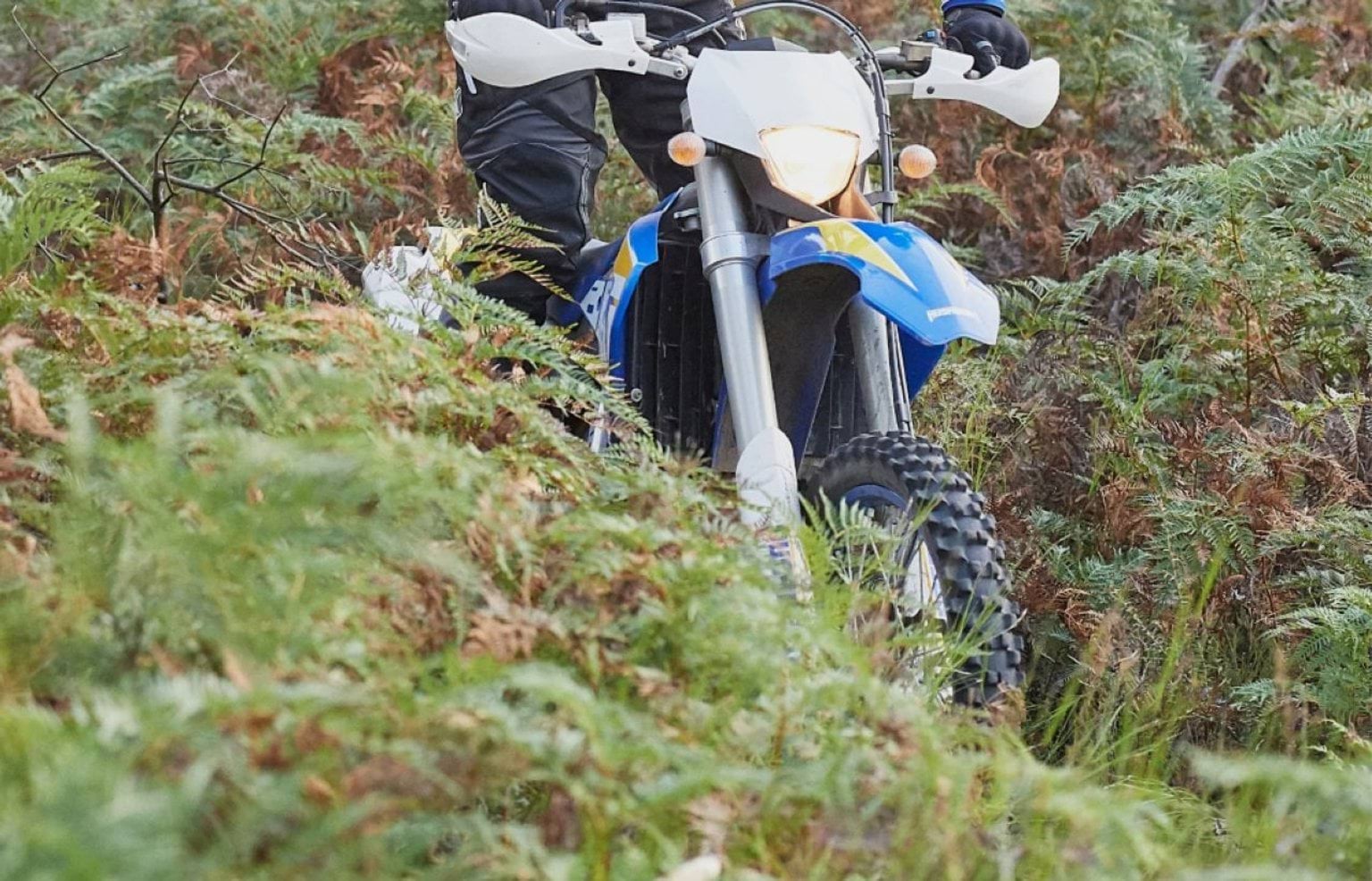 person operating  a blue motorbike on a trail in a forest