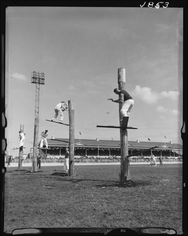 Black and white photo shows men standing on wood planks for a woodcutting demonstration