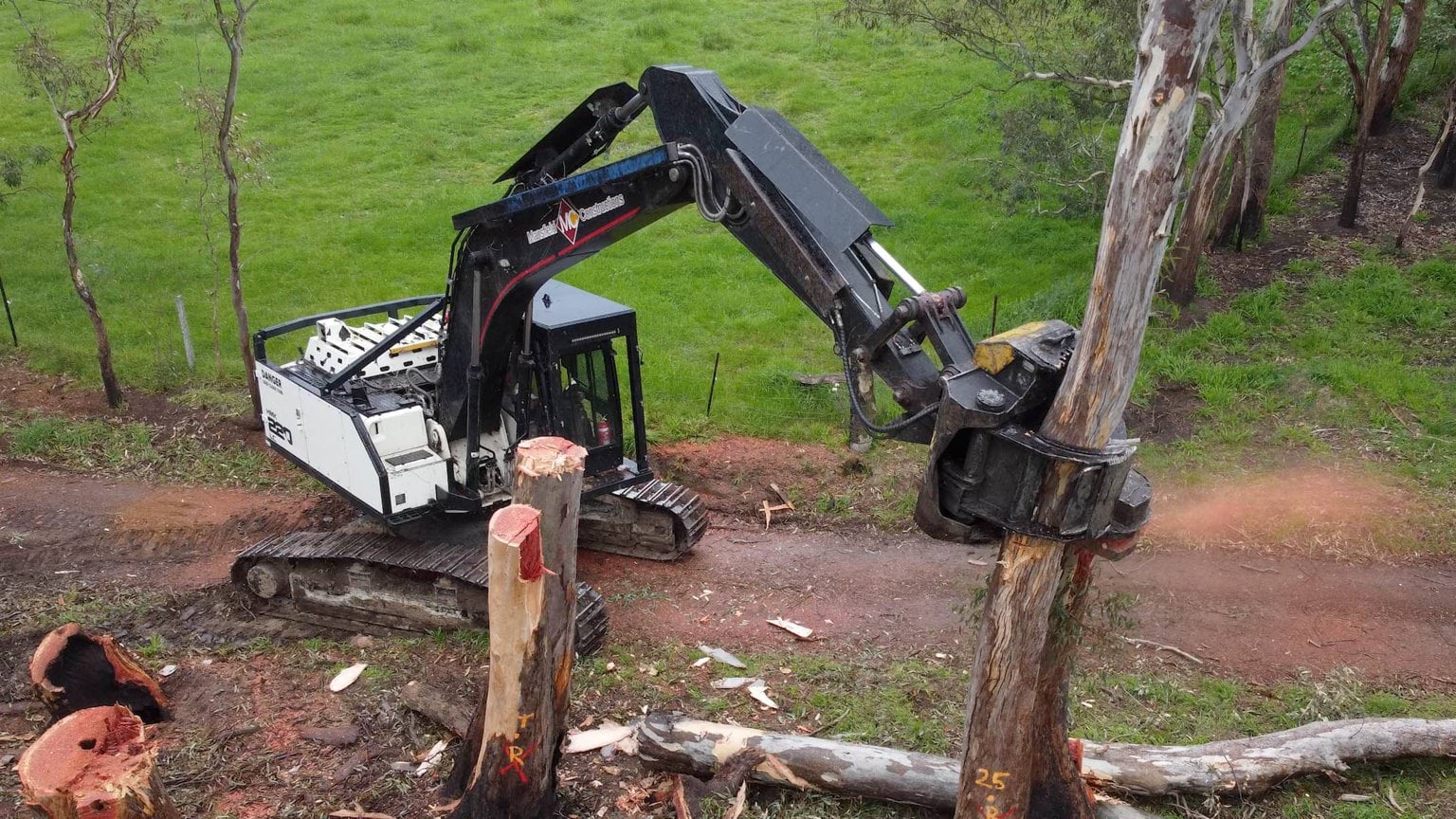 A tree cutter attaches to a branch of a fire damaged tree