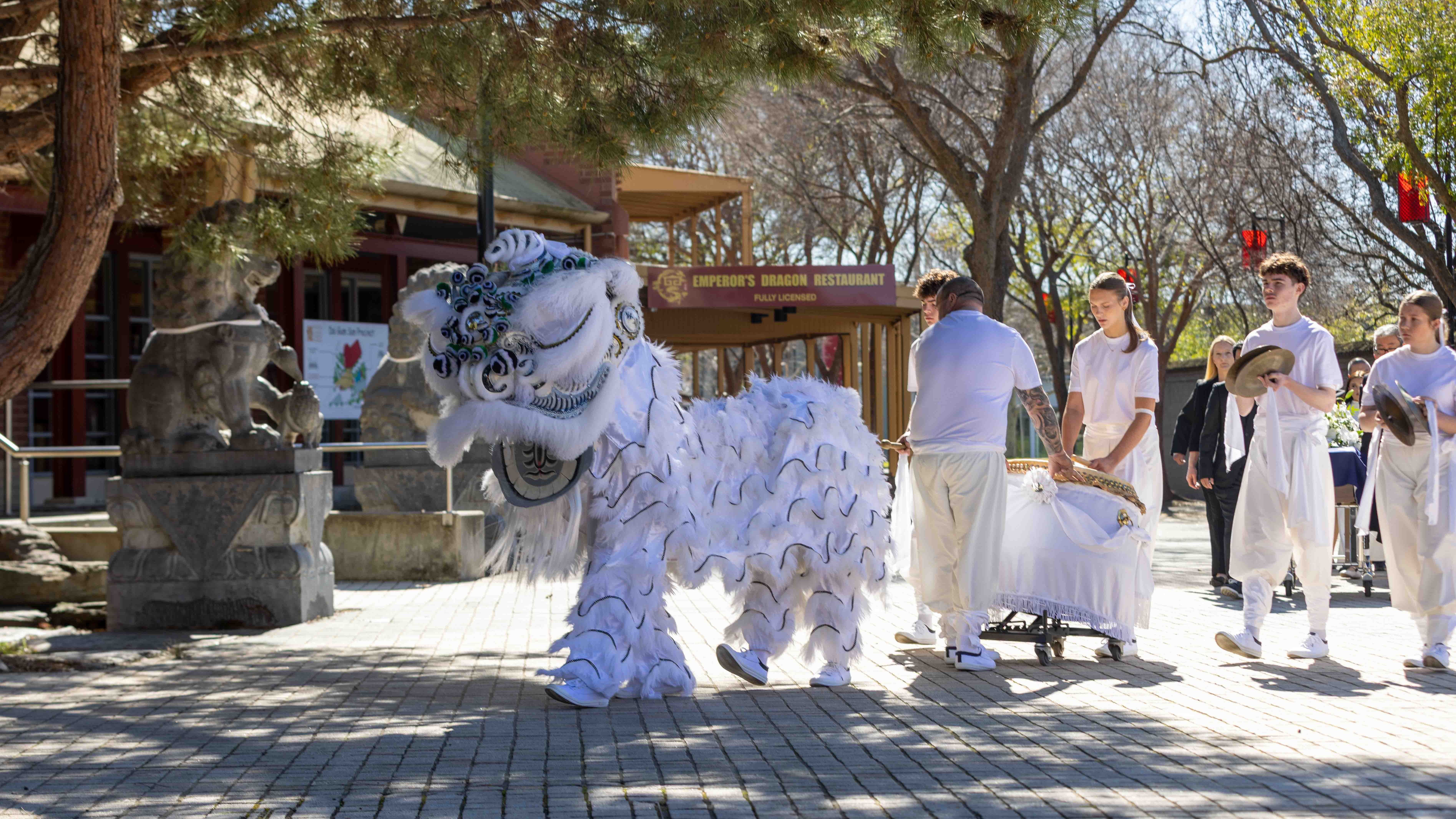 A white mourning lion accompanies Russell on his journey through Bendigo's Chinese precinct, followed by musicians